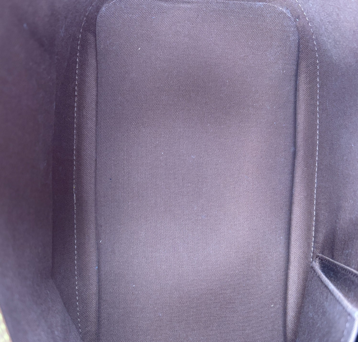 Alma PM Monogram