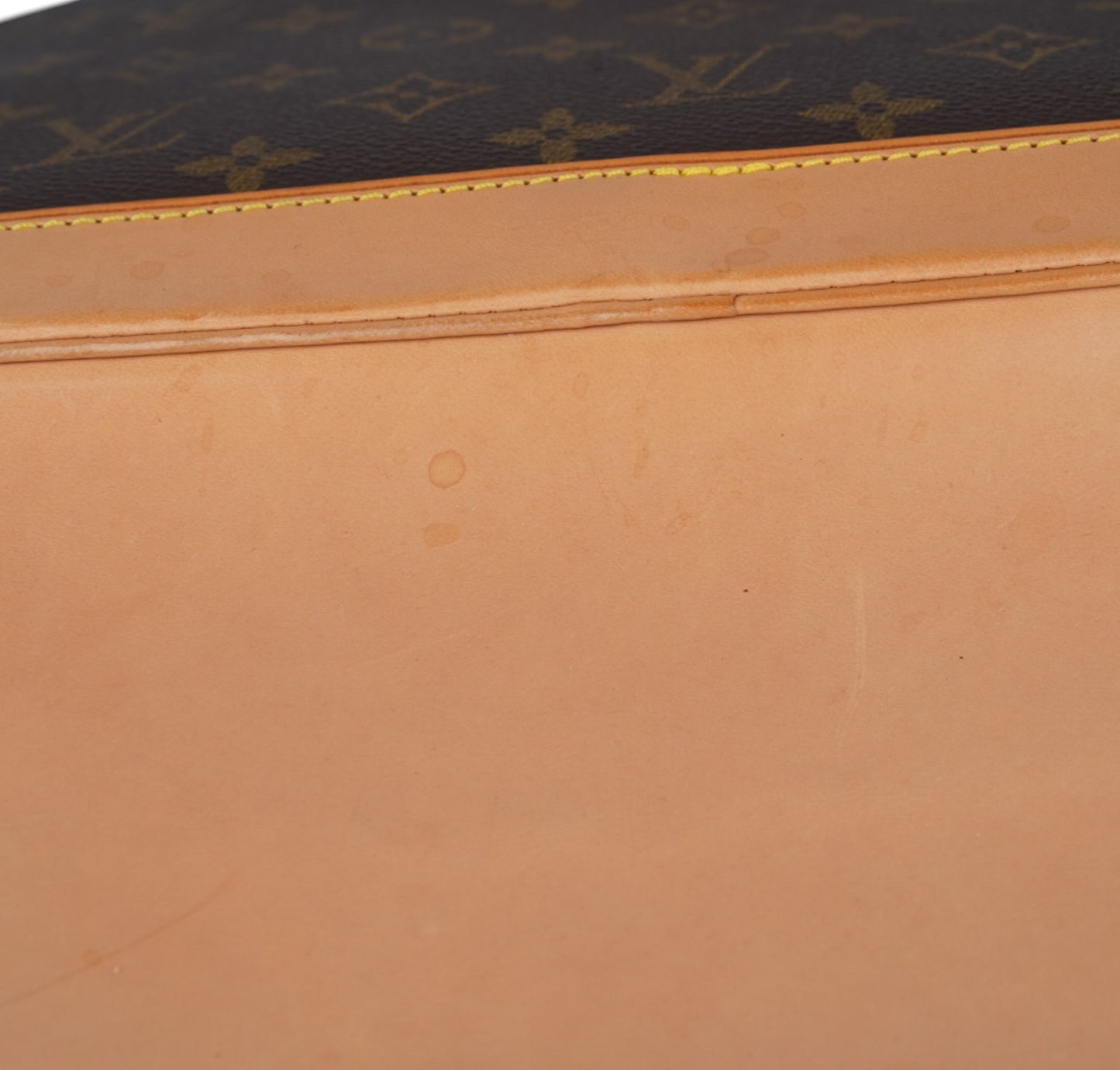 Alma PM Monogram