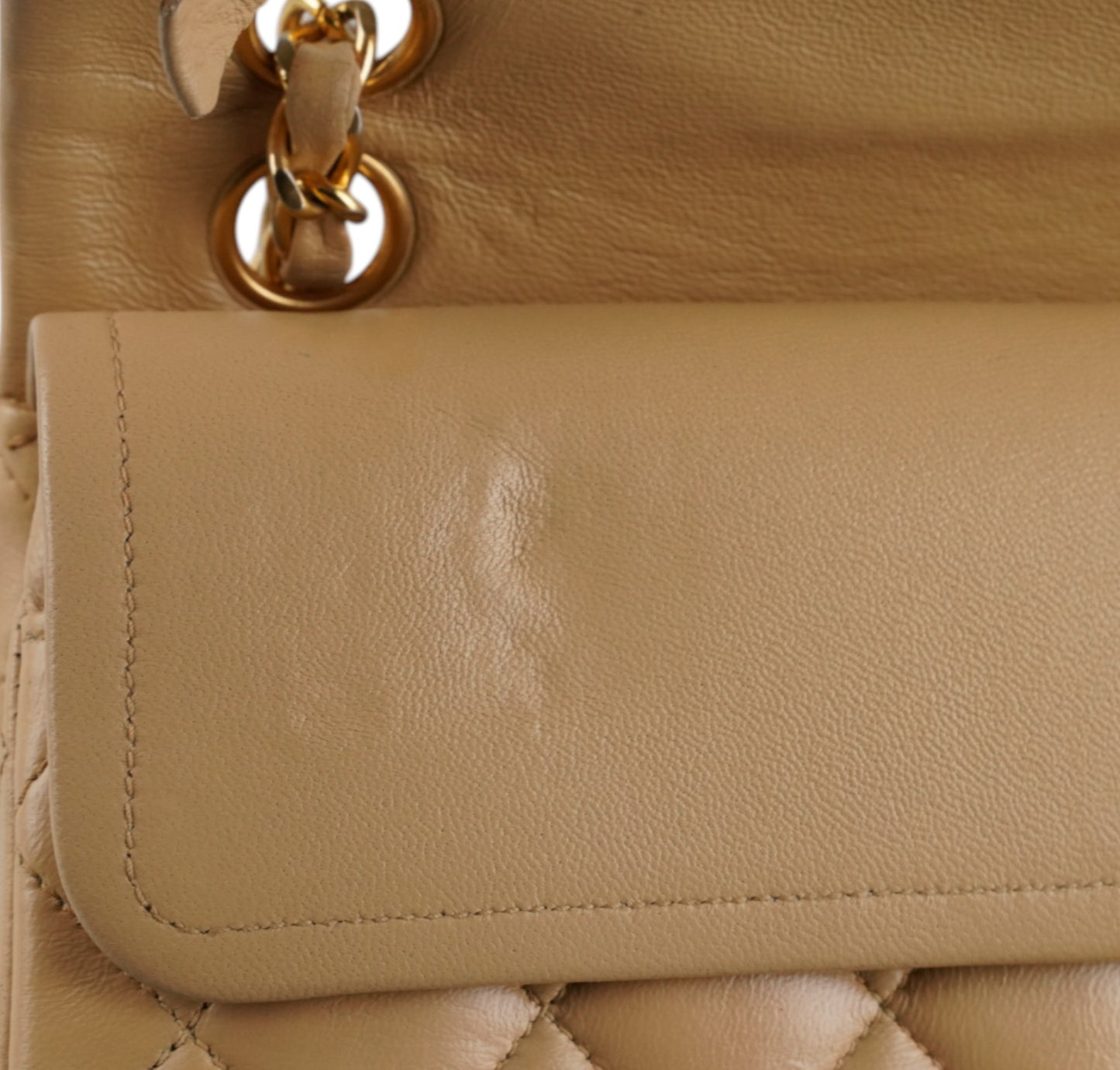 Timeless Classic Small