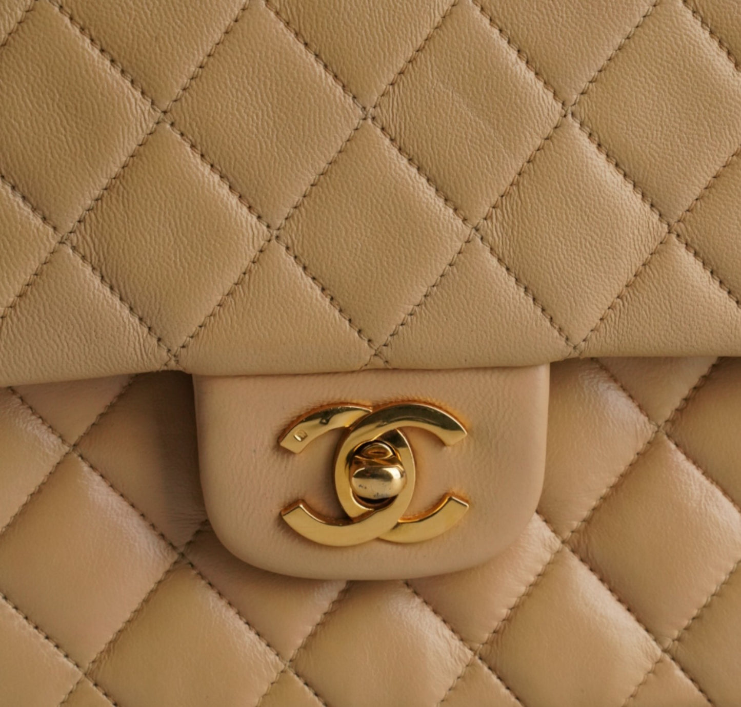 Timeless Classic Small