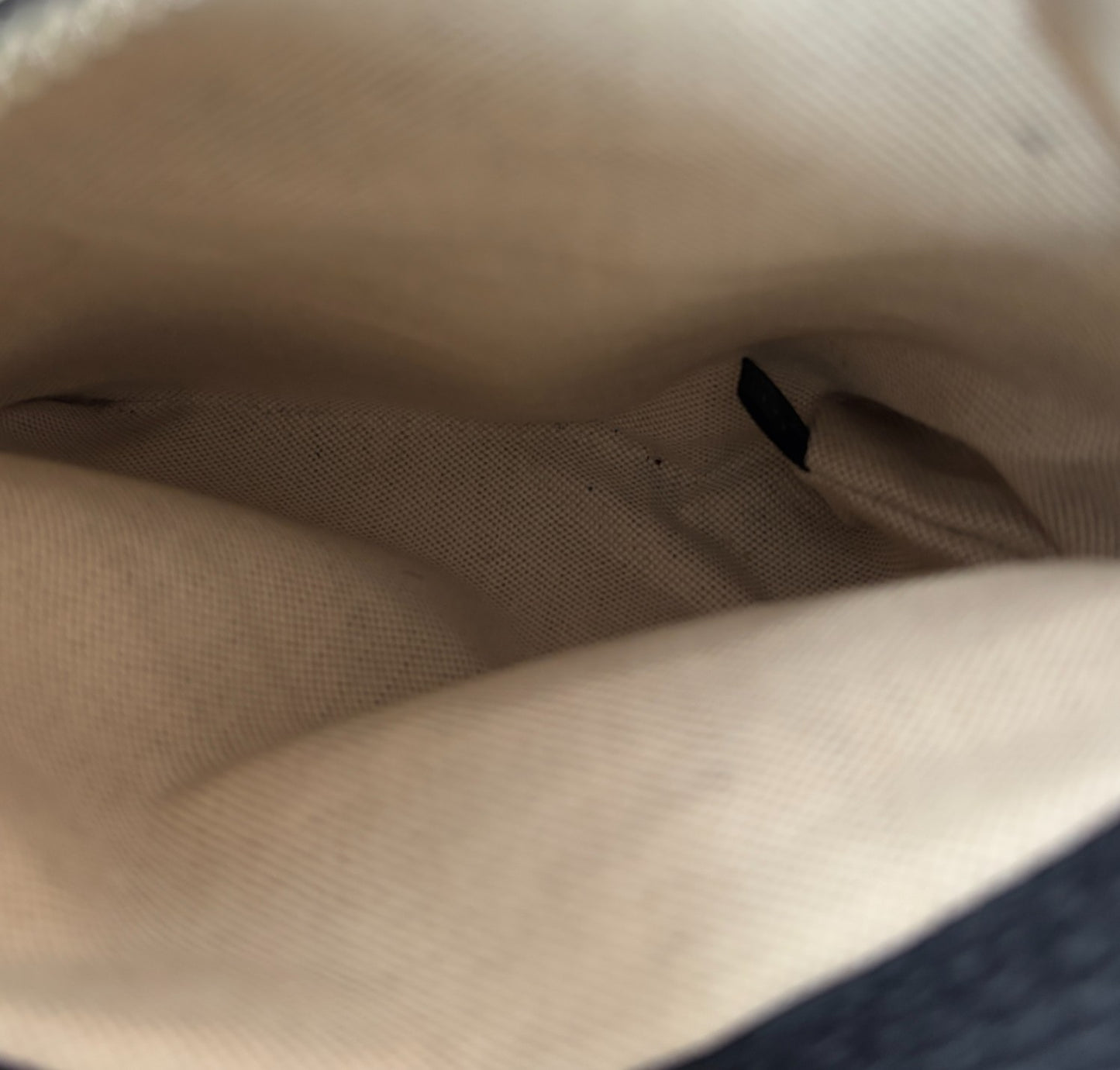 GG Ophidia Monogram Backpack