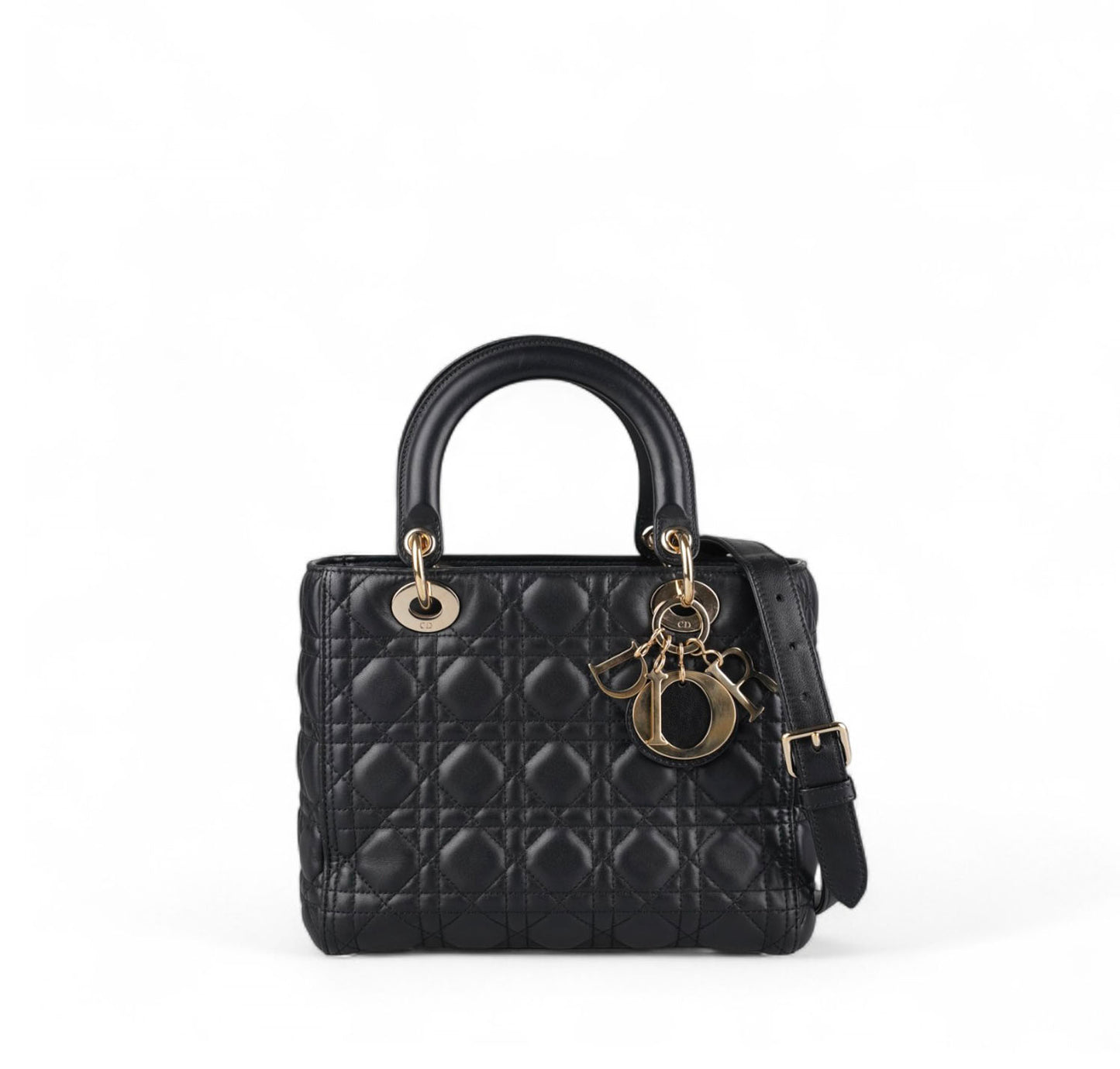 Lady Dior Media