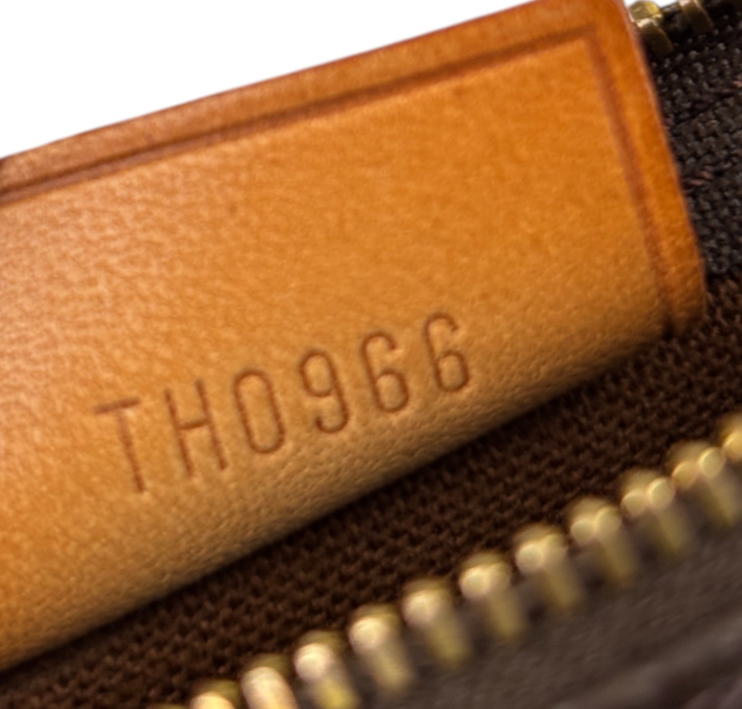 Nano Speedy Monogram