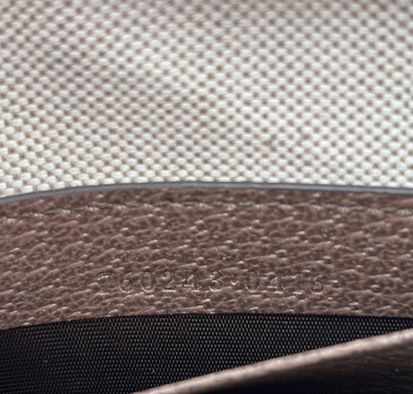 Pouch Ophidia