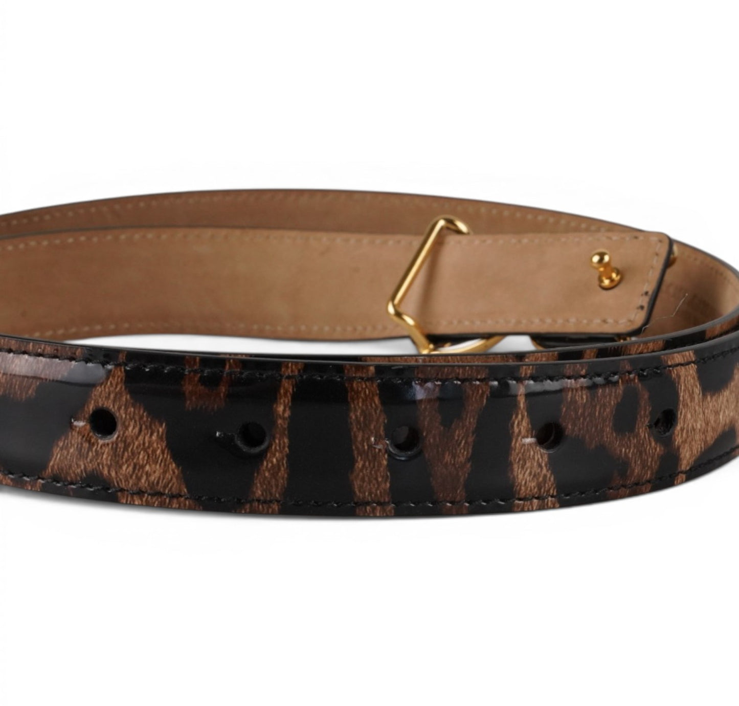 Cintura DG Logo Animalier 90
