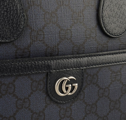 Ophidia Porta Documenti