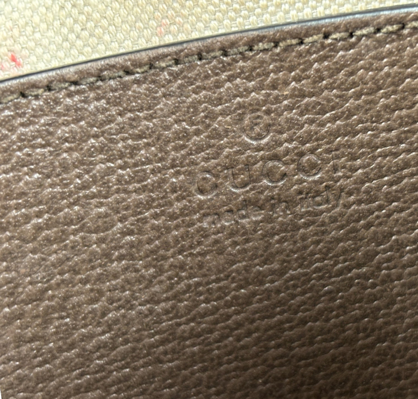 Pochette Moon Ophidia