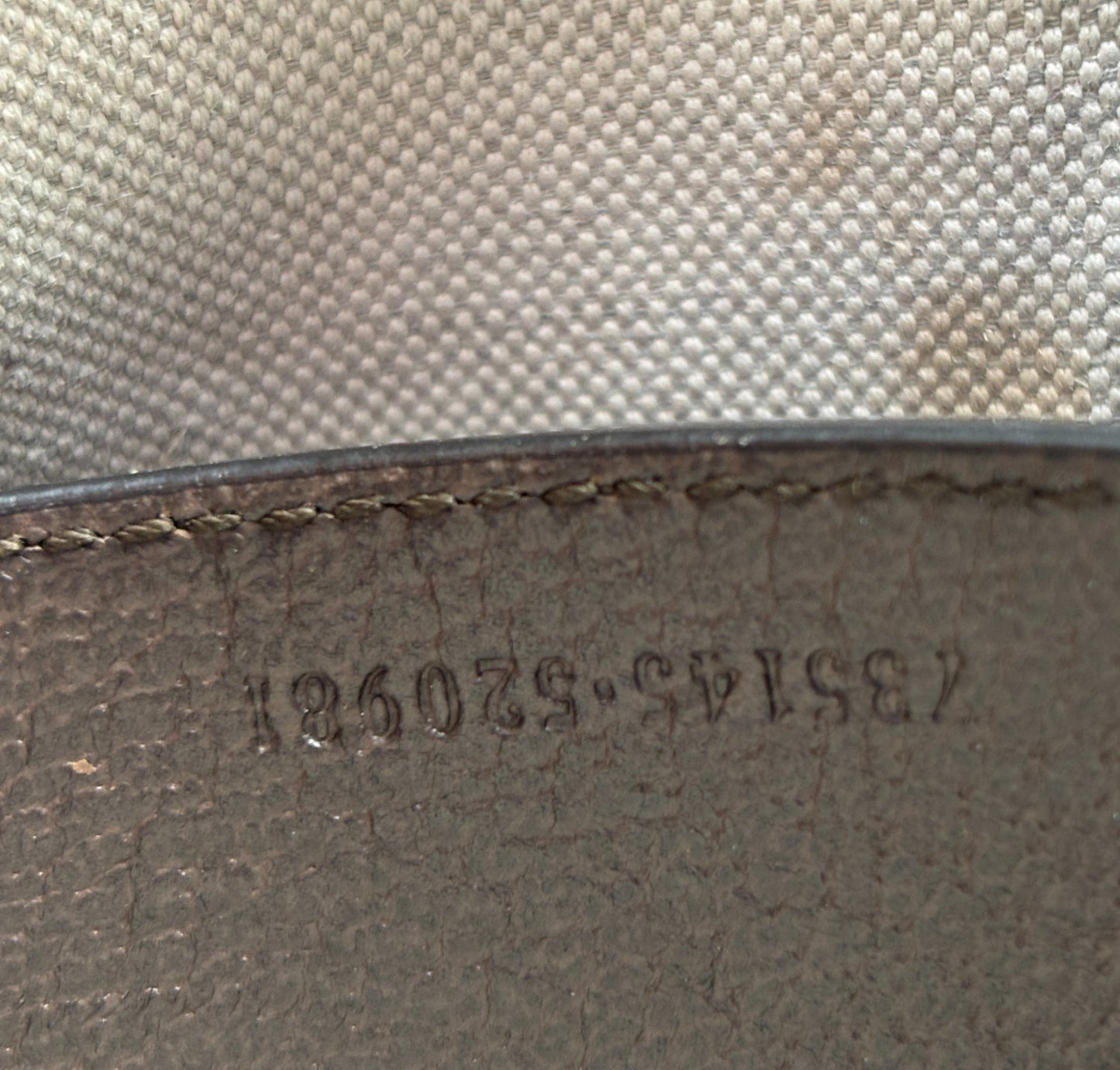 Pochette Moon Ophidia