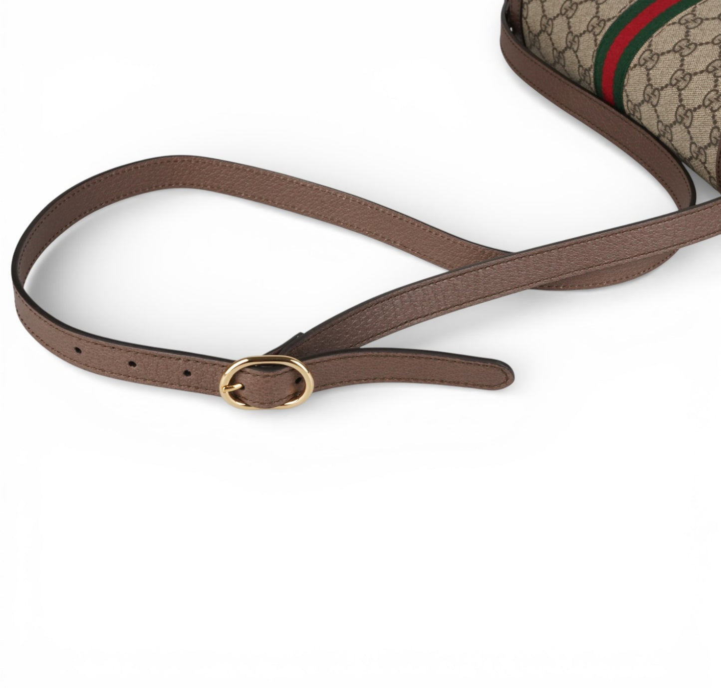 Ophidia GG Messenger