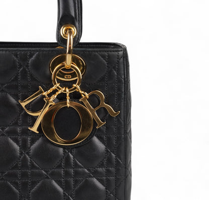 Lady Dior Media