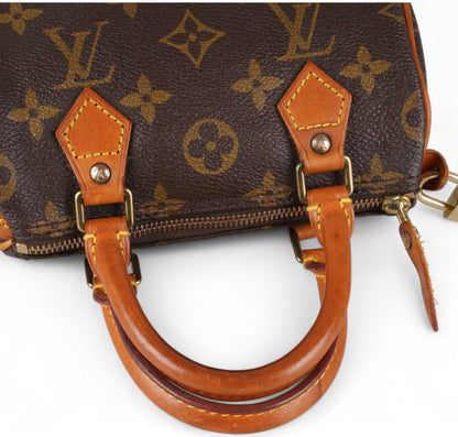 Nano Speedy Monogram