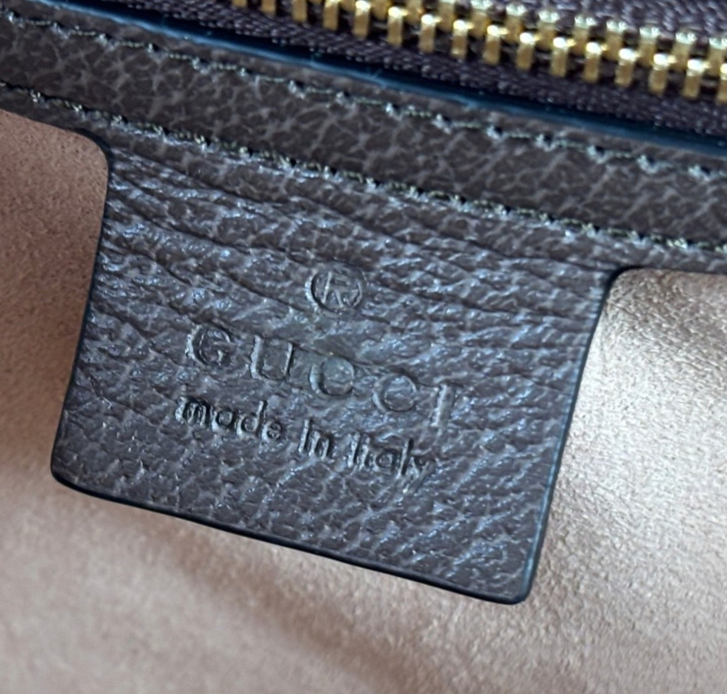 Ophidia GG Messenger