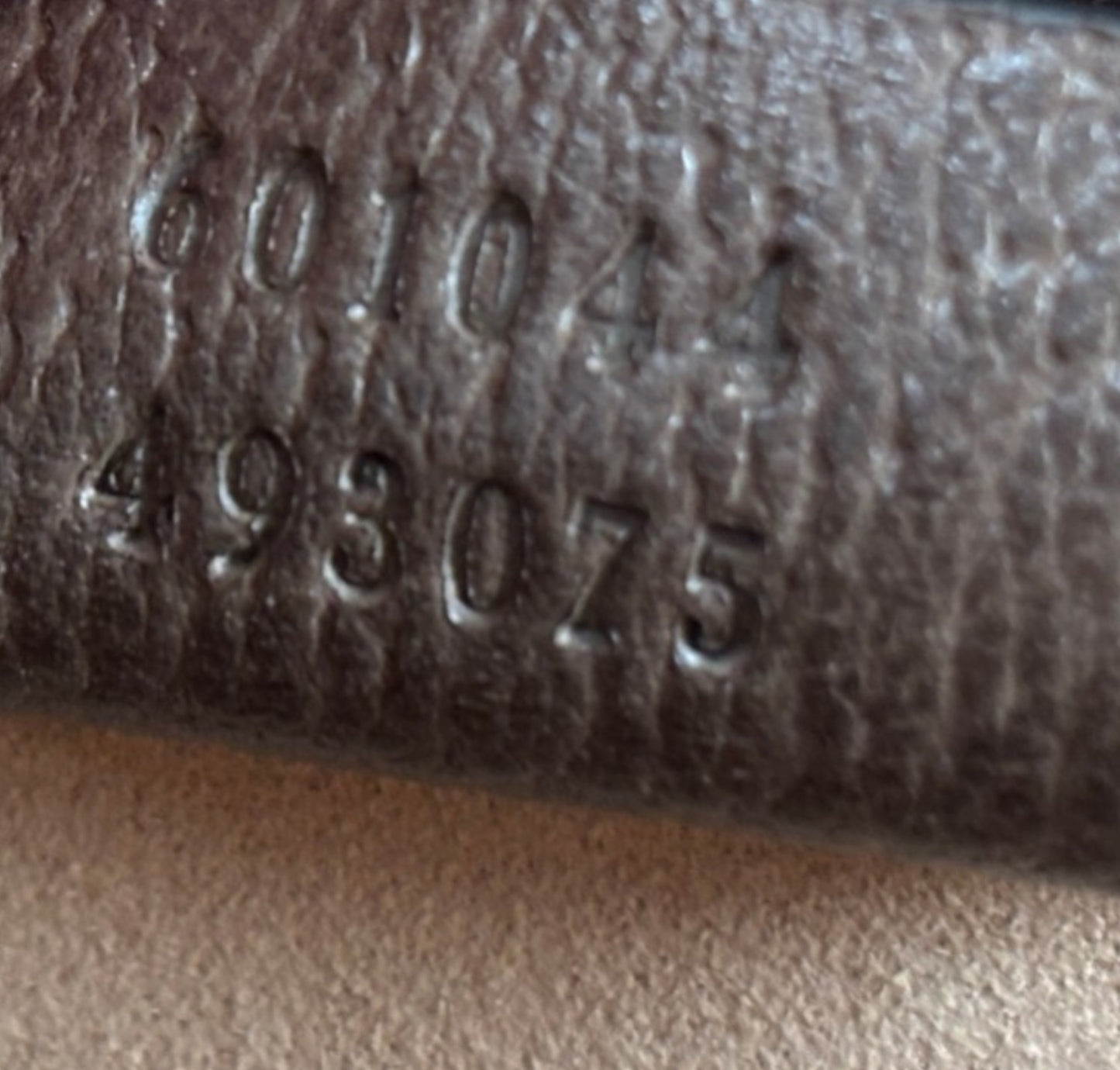 Ophidia GG Messenger