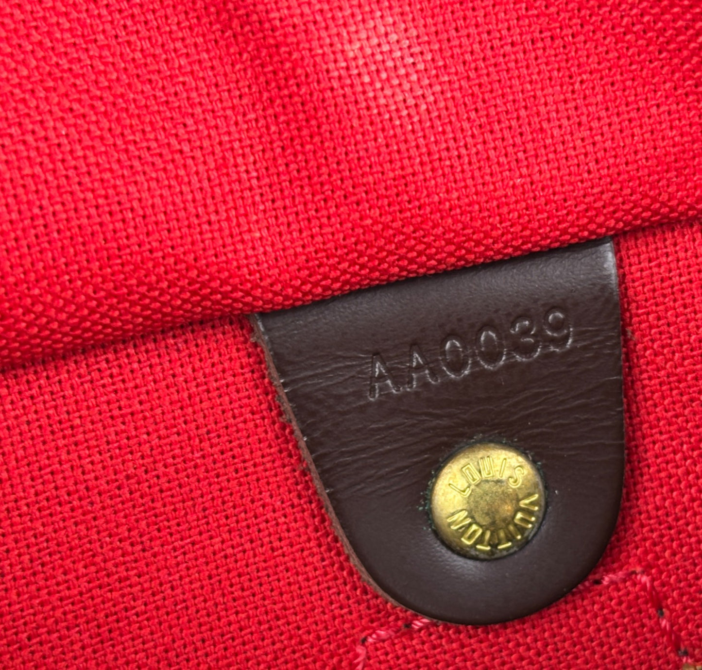 Speedy 25 Damier Ébène