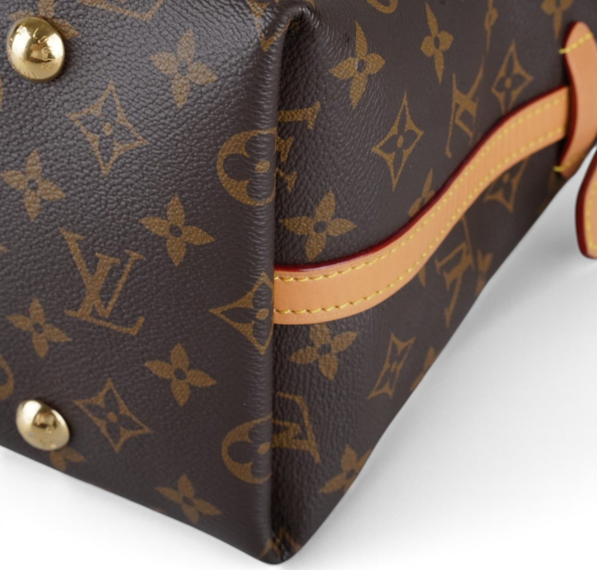 CarryAll MM Monogram