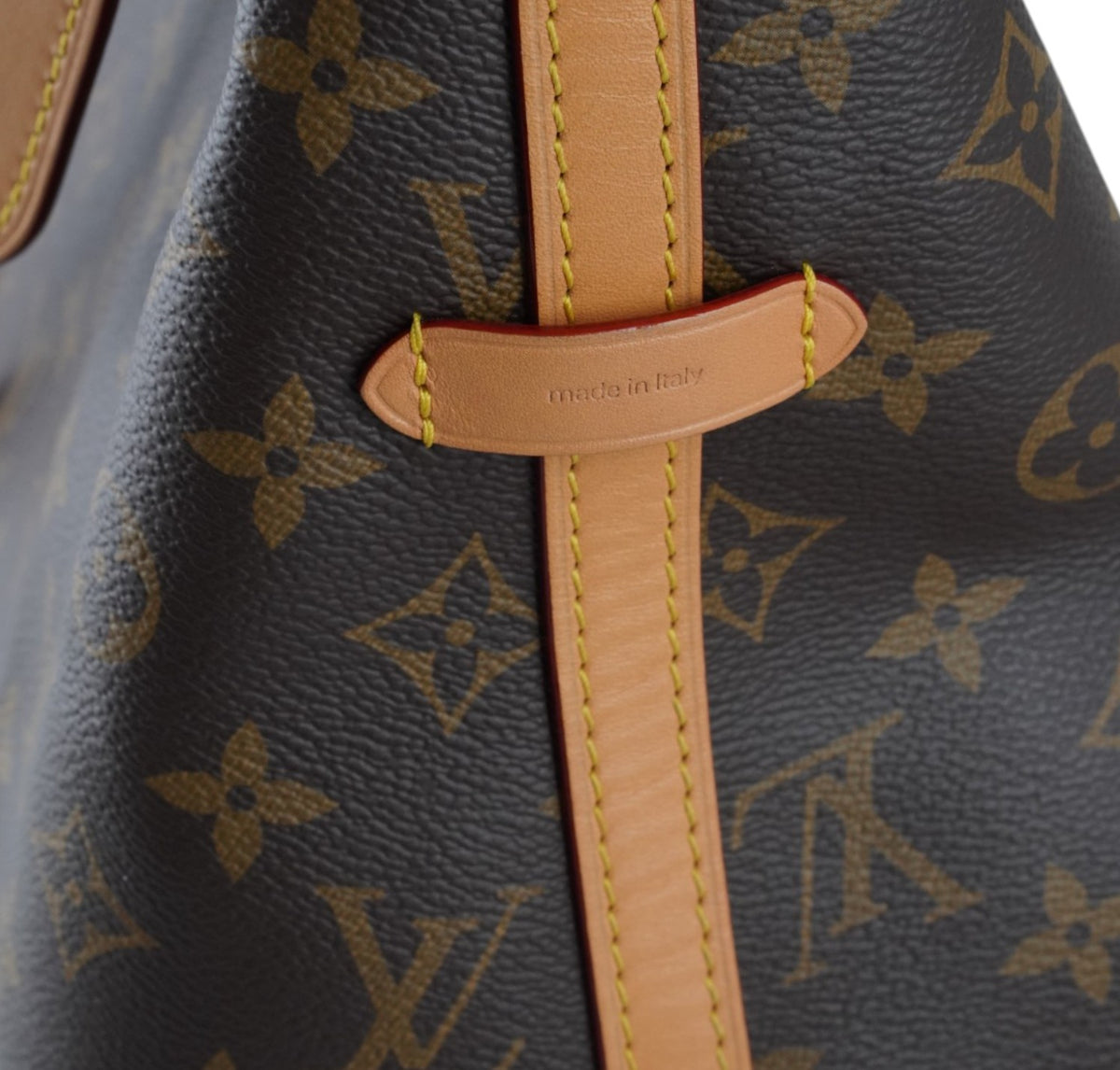 CarryAll MM Monogram