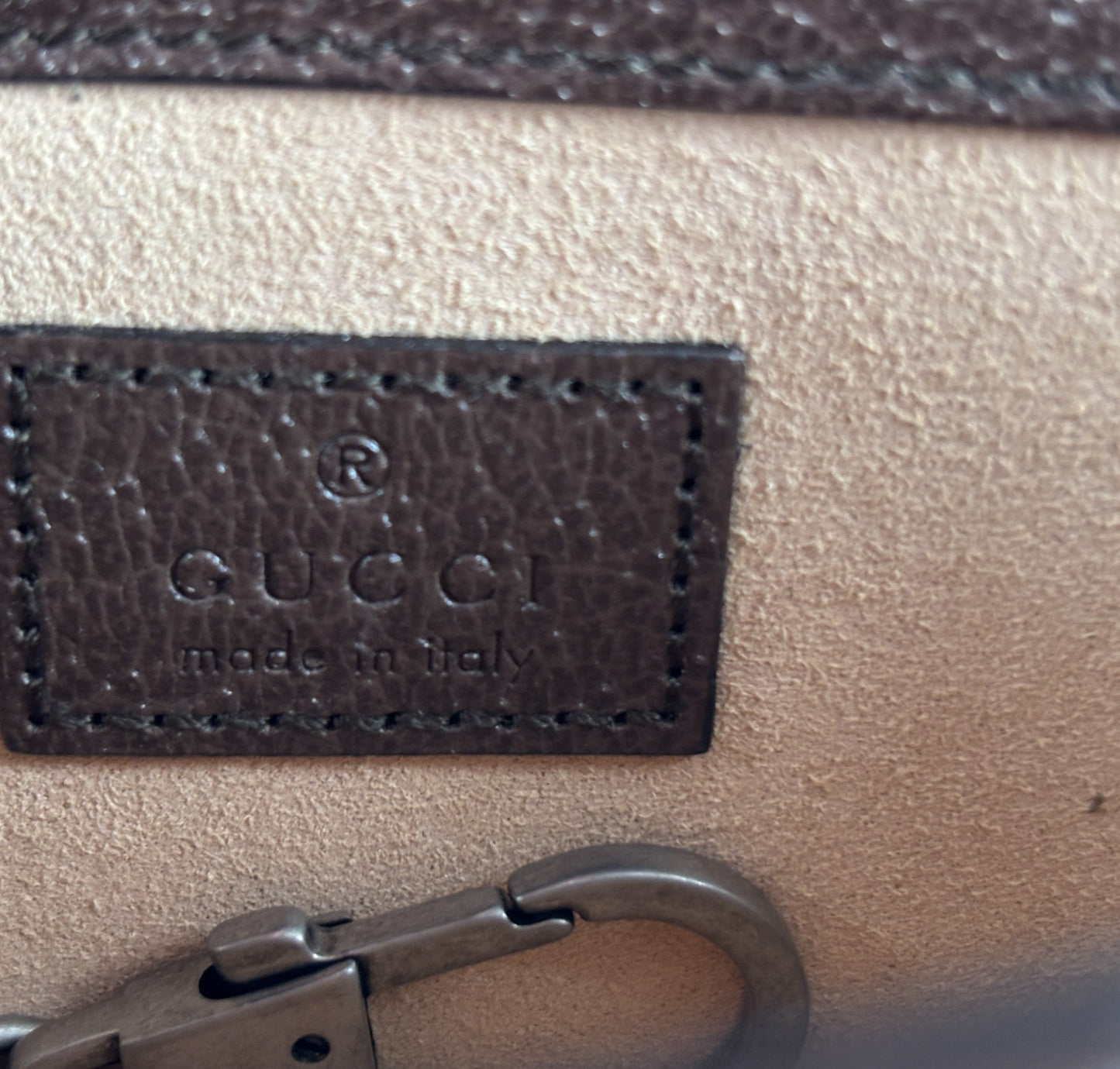 Dionysus Mini GG Jumbo