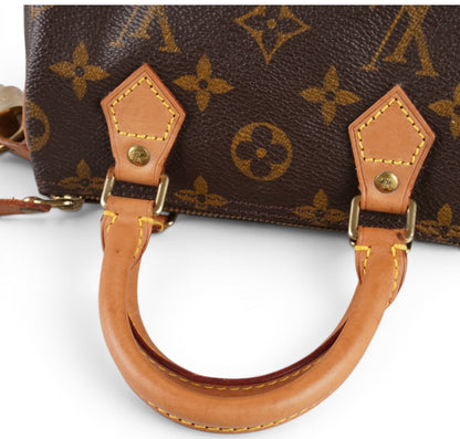 Nano Speedy Monogram 