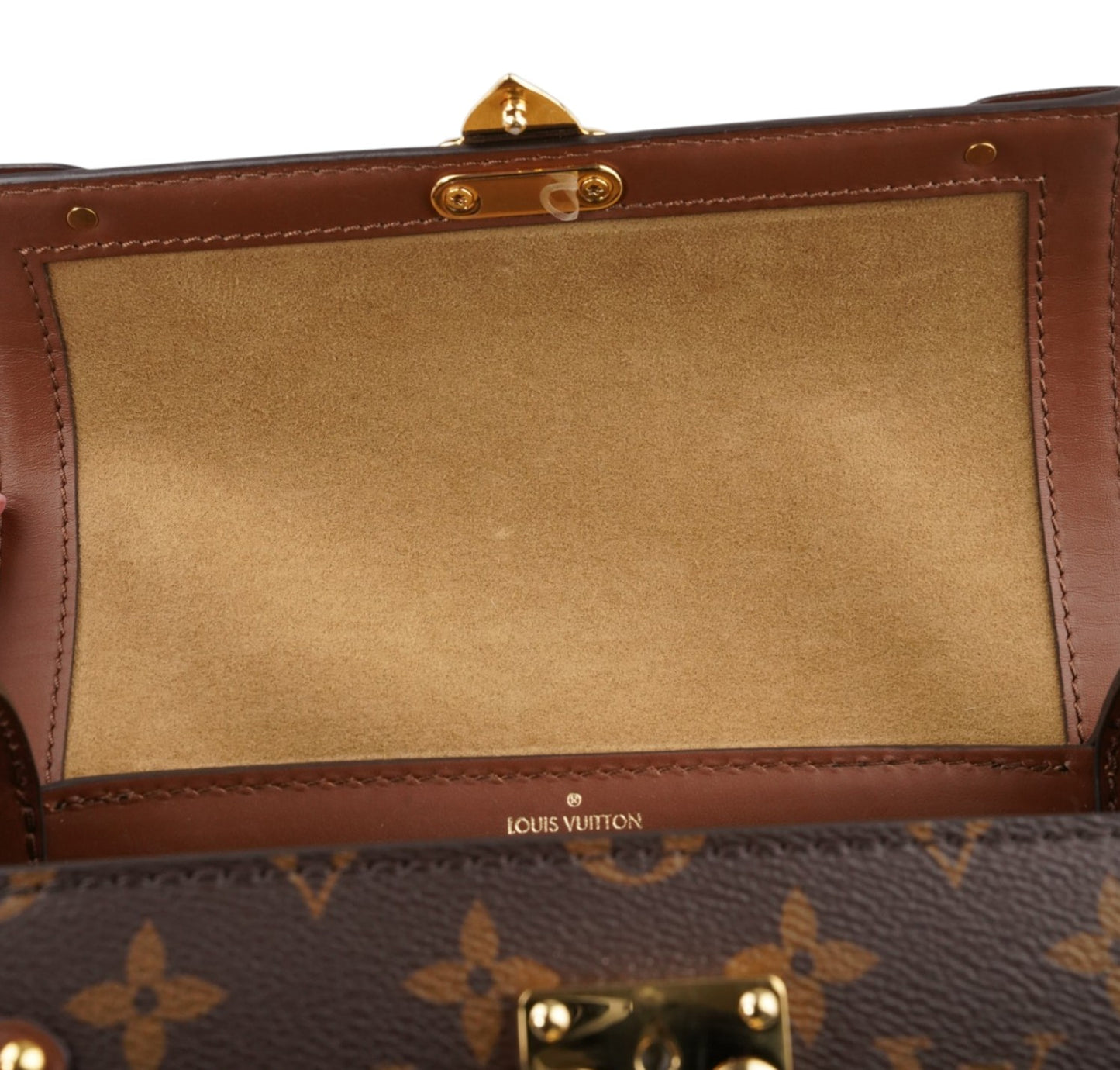 Papillon Trunk
