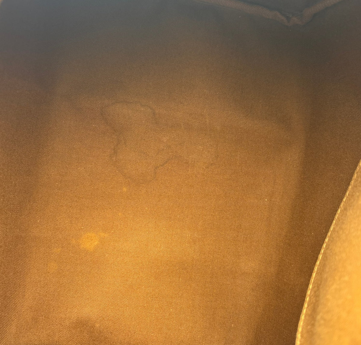 Speedy 30 Monogram