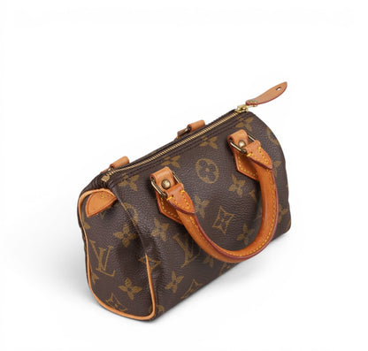 Nano Speedy Monogram