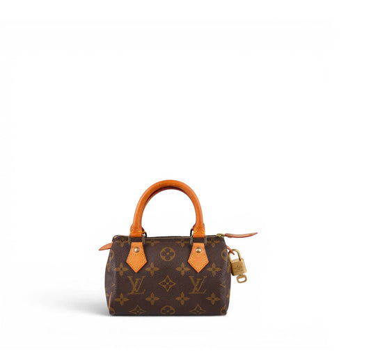 Nano Speedy Monogram