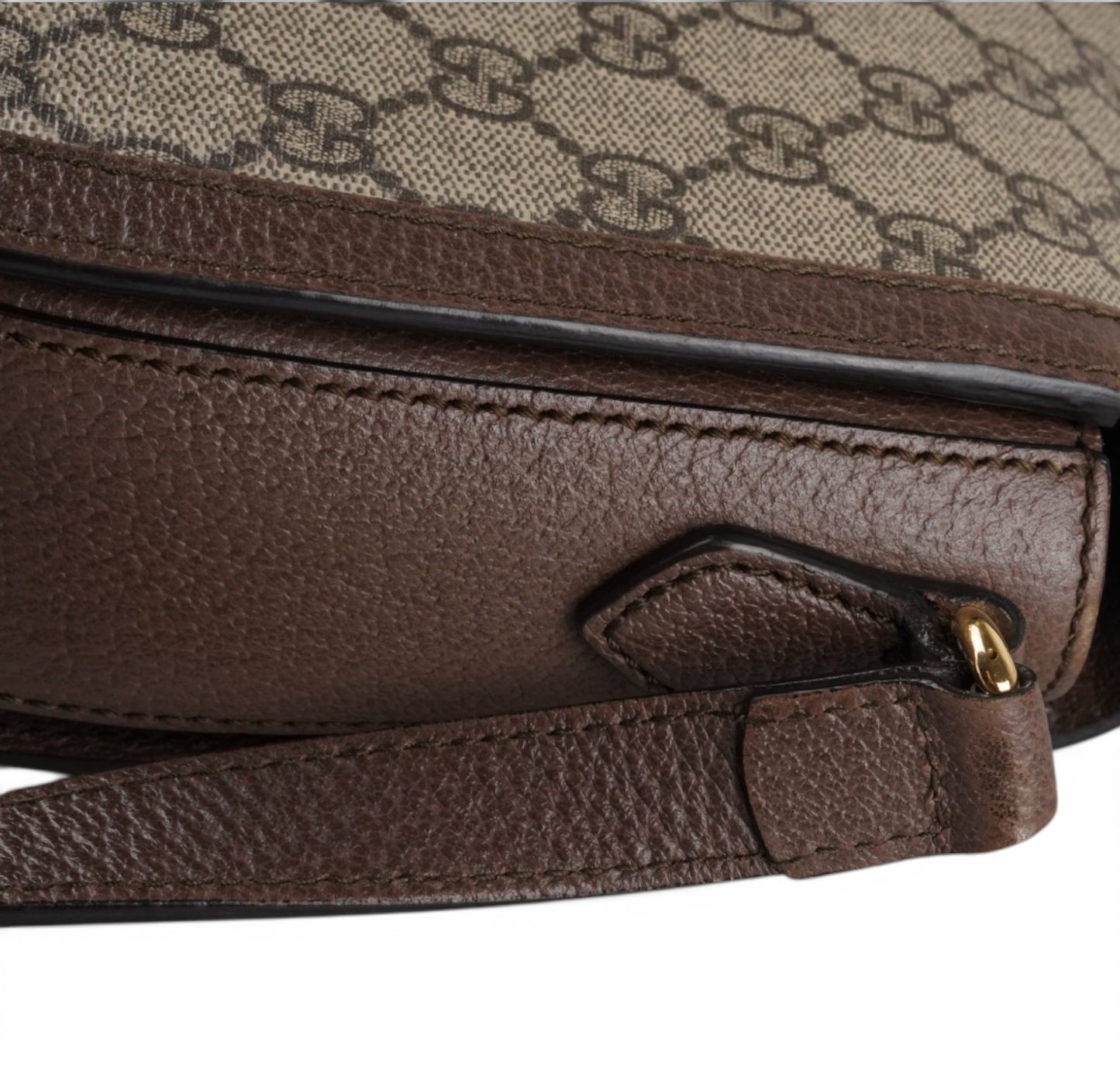 Ophidia GG Messenger