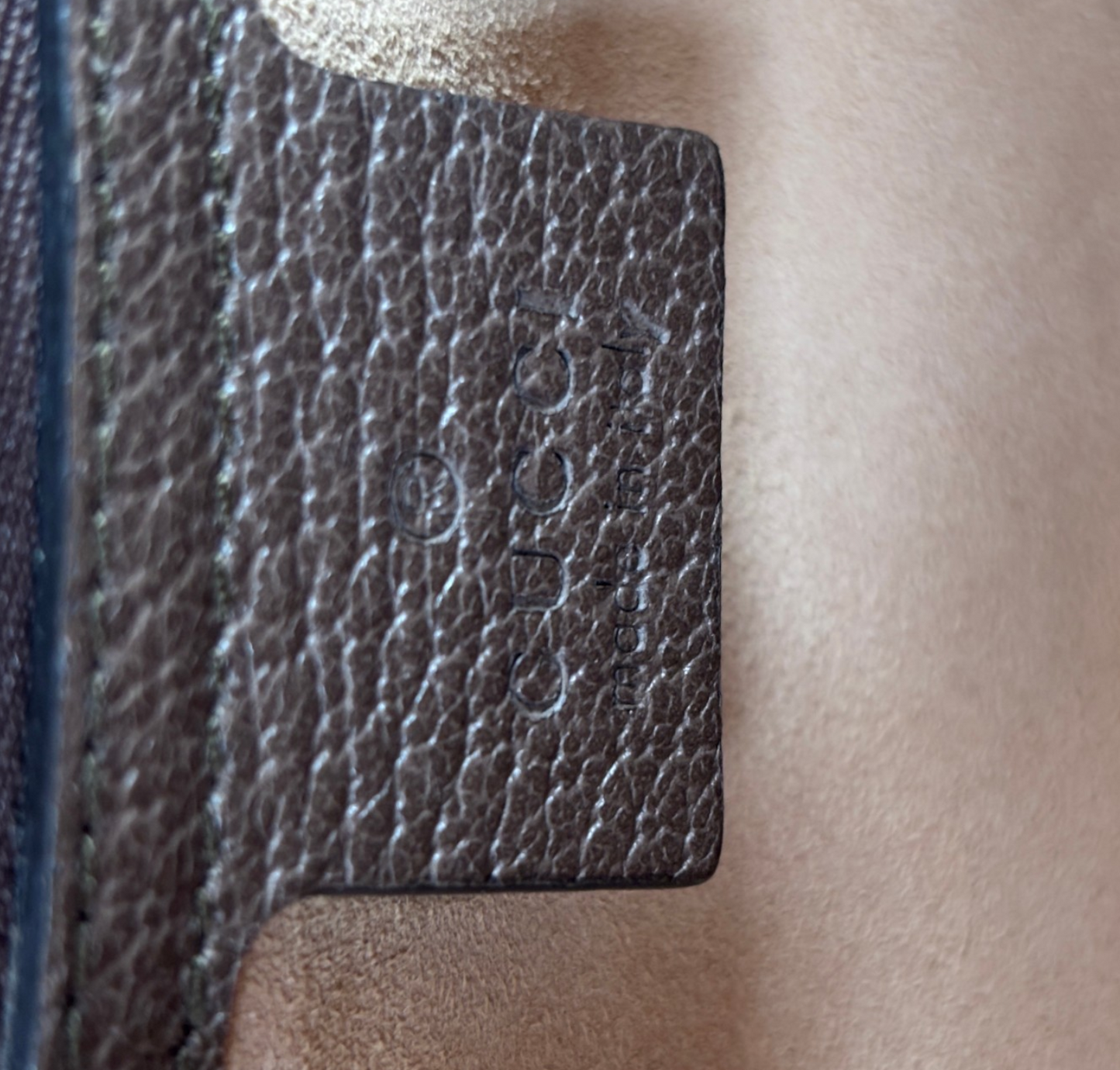 Ophidia GG Messenger